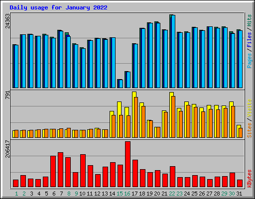 Daily usage for January 2022