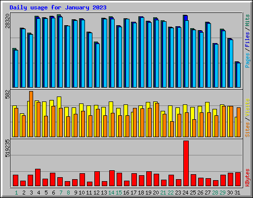 Daily usage for January 2023