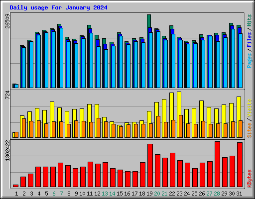 Daily usage for January 2024