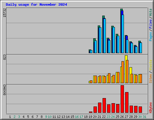 Daily usage for November 2024