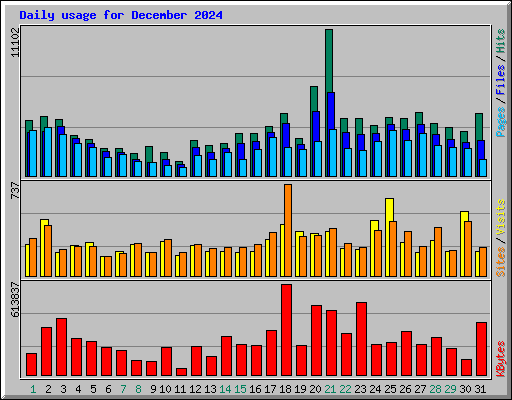 Daily usage for December 2024