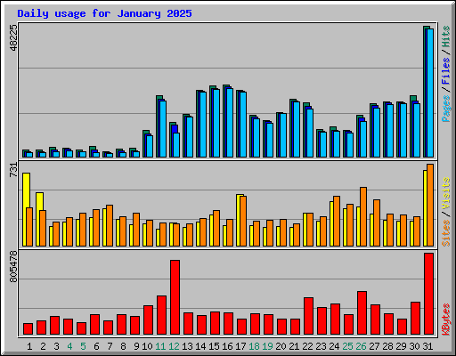 Daily usage for January 2025