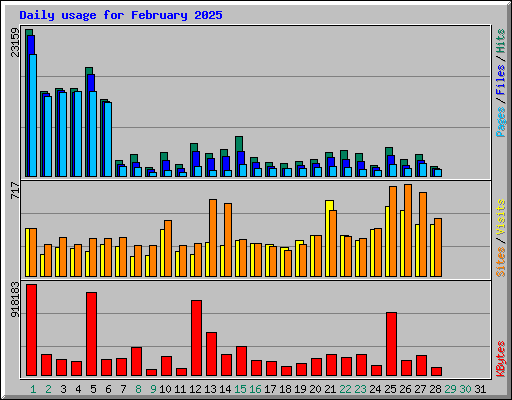 Daily usage for February 2025