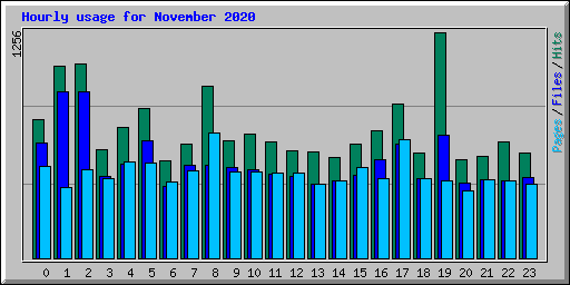 Hourly usage for November 2020