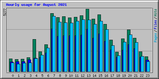 Hourly usage for August 2021