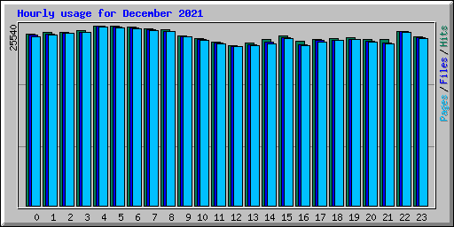 Hourly usage for December 2021