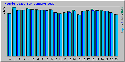 Hourly usage for January 2022