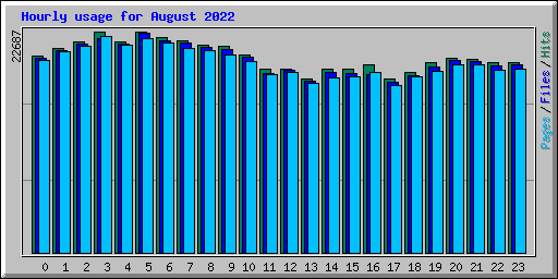 Hourly usage for August 2022