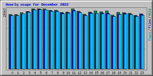 Hourly usage for December 2022