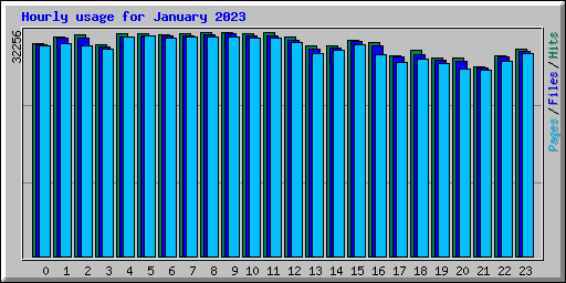 Hourly usage for January 2023