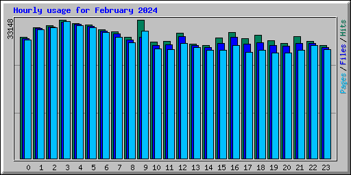 Hourly usage for February 2024