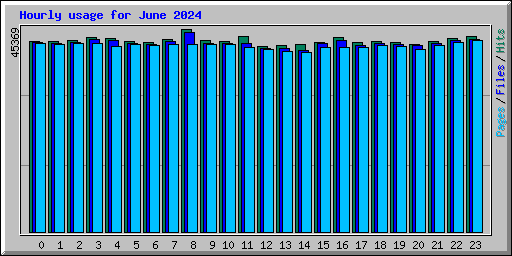 Hourly usage for June 2024