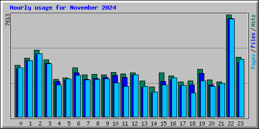 Hourly usage for November 2024