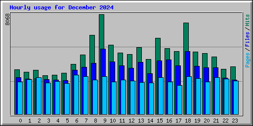 Hourly usage for December 2024