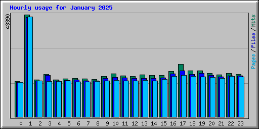 Hourly usage for January 2025