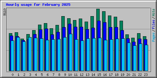 Hourly usage for February 2025